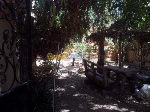 Location Appartement F2 Tipaza Tipaza