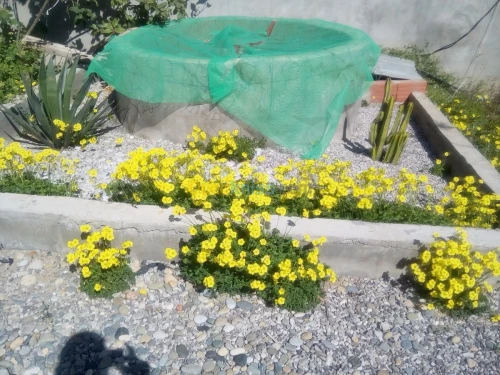 Location vacances Bungalow Skikda Collo