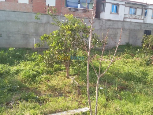 Location vacances Bungalow Skikda Collo