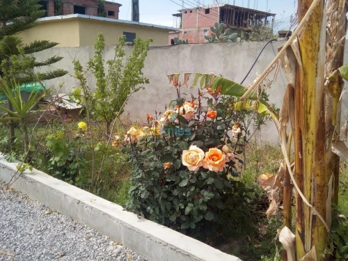 Location vacances Bungalow Skikda Collo