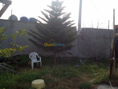 Location vacances Bungalow Skikda Collo