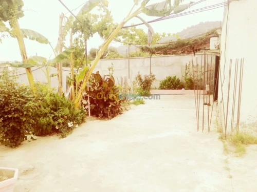 Location vacances Bungalow Skikda Collo