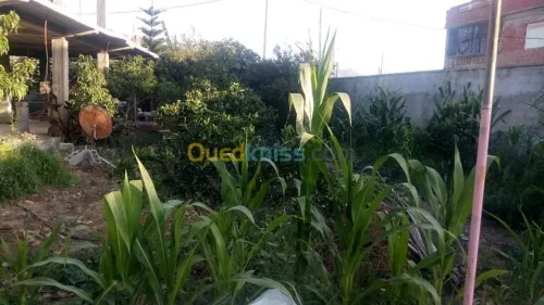 Location vacances Bungalow Skikda Collo