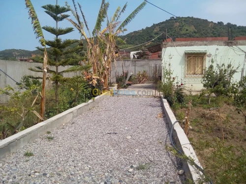 Location vacances Bungalow Skikda Collo