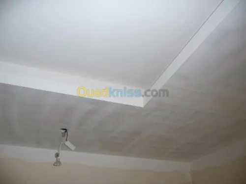  faux plafond