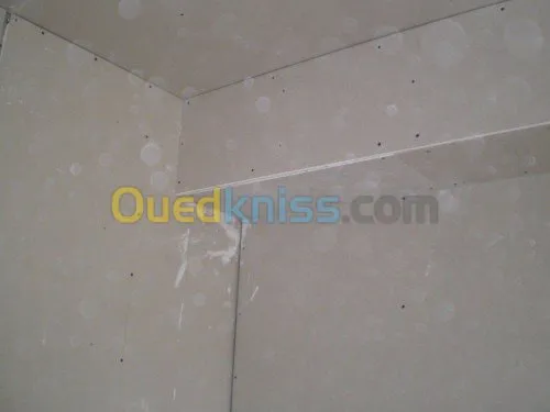  faux plafond