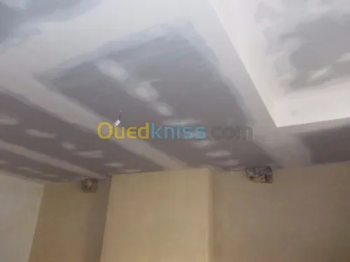  faux plafond