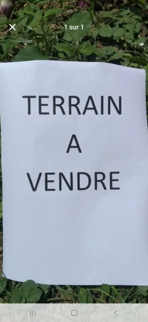 Vente Terrain Béjaïa Bejaia