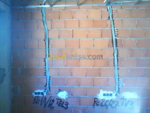 electricité pieuvre electrique