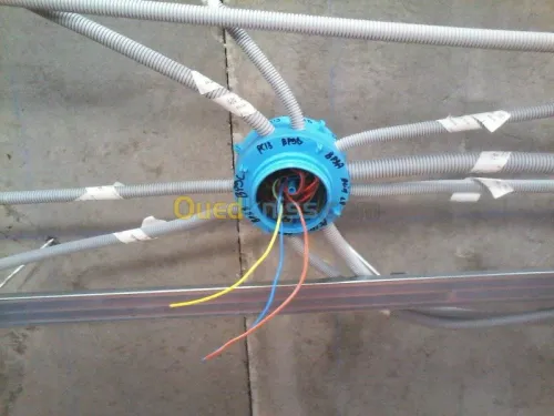 electricité pieuvre electrique