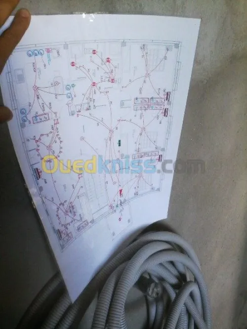 electricité pieuvre electrique