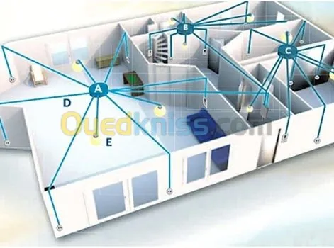 electricité pieuvre electrique