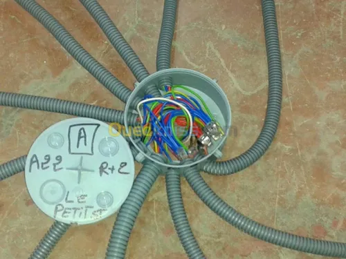 electricité pieuvre electrique
