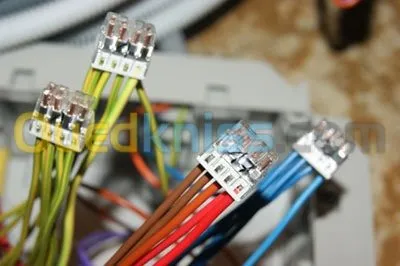 electricité pieuvre electrique