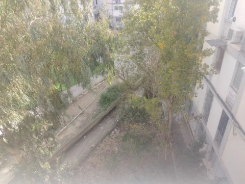 Vente Appartement F3 Alger Cheraga