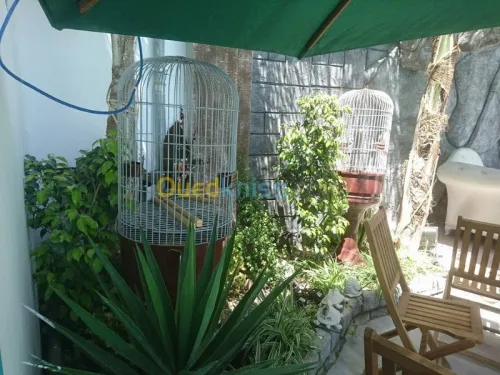 Sale des fetes EL FARAH