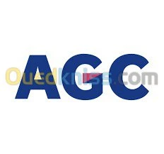 toit  pare-brise vitre Volkswagen