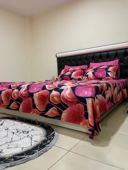 Location Appartement F3 Oran Oran