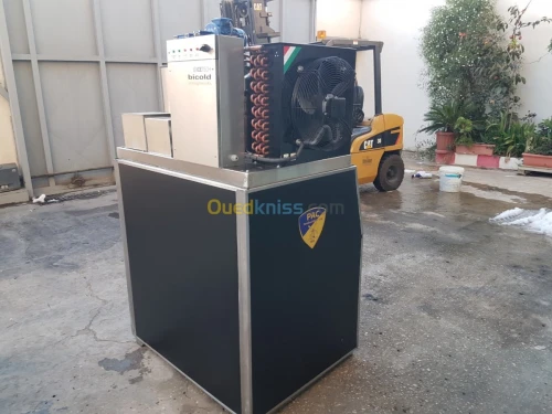 fabrique de glace , pondeuse à glaçon 