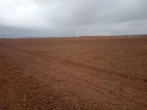 Vente Terrain Agricole Djelfa Bouira lahdab