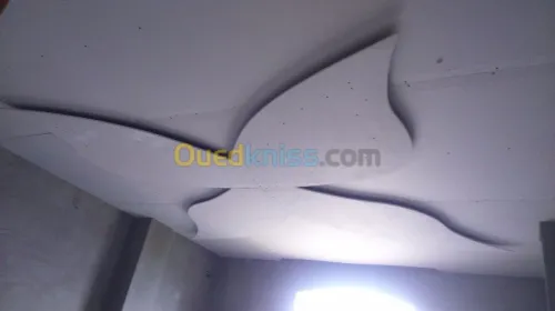 decoration   faux plafond