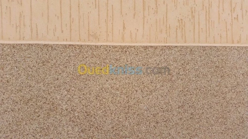 Revetement de facade -GRIFFÉ 