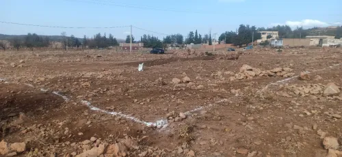 Vente Terrain Tlemcen Tirni beni hediel