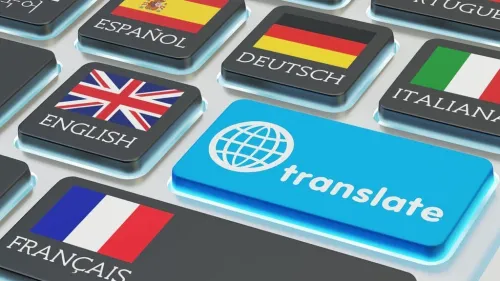 Freelance Translator 