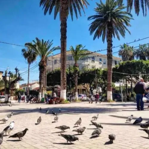 Location vacances Appartement F4 Alger Ain taya