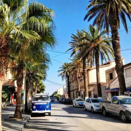 Location vacances Appartement F4 Alger Ain taya