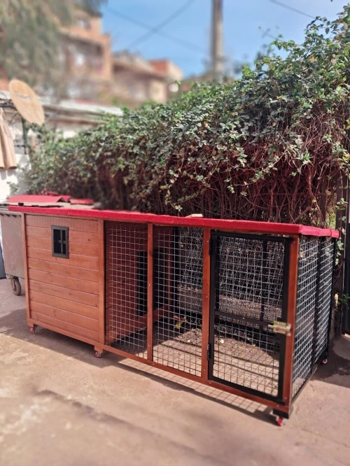 Niche et cage pour chien 