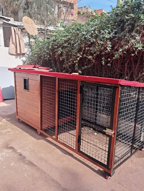 Niche et cage pour chien 