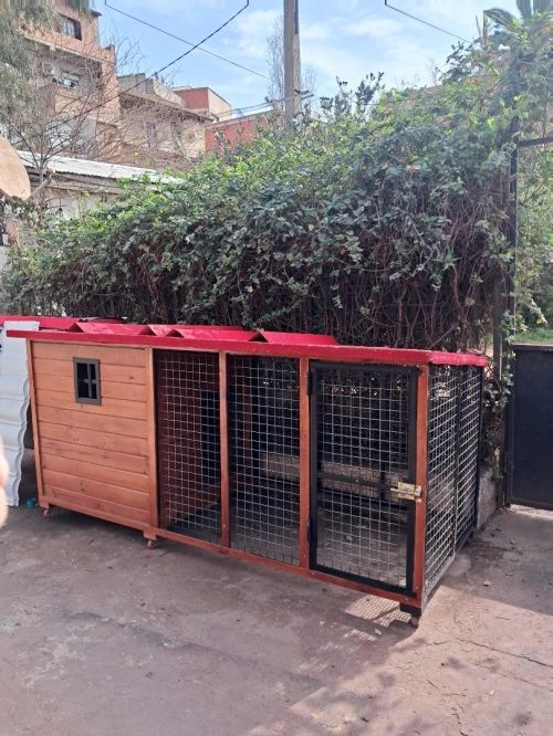 Niche et cage pour chien 