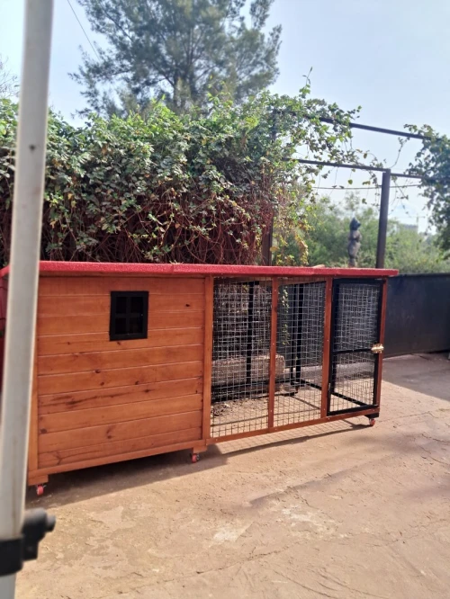 Niche et cage pour chien 