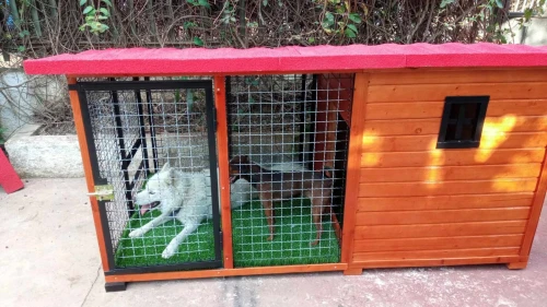 Niche et cage pour chien 