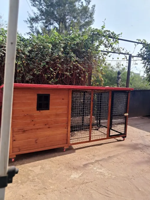 Niche et cage pour chien 