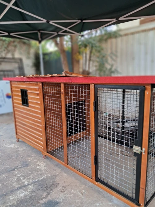 cage et niche pour chien منزل كلاب