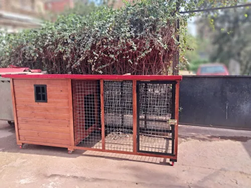 Niche et cage pour chien 
