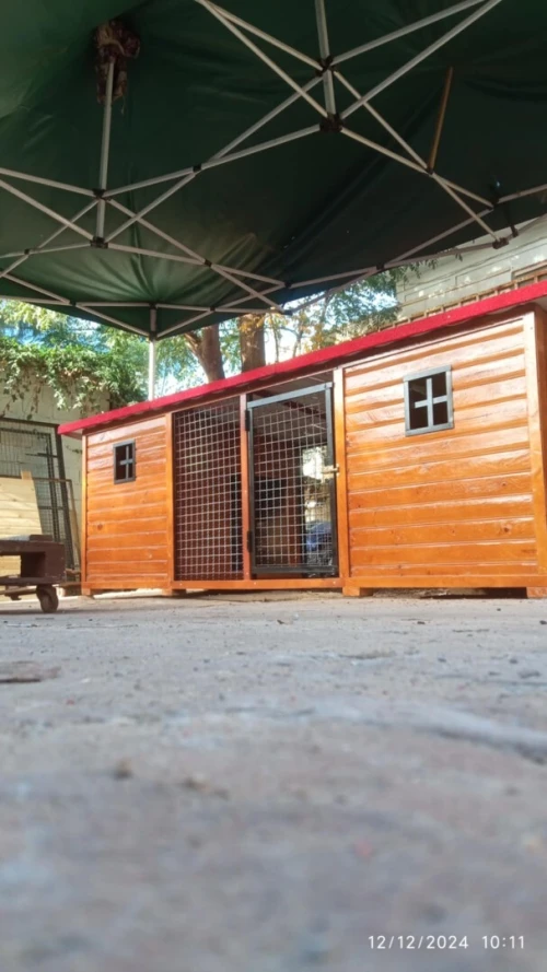 cage et niche pour chien منزل كلاب