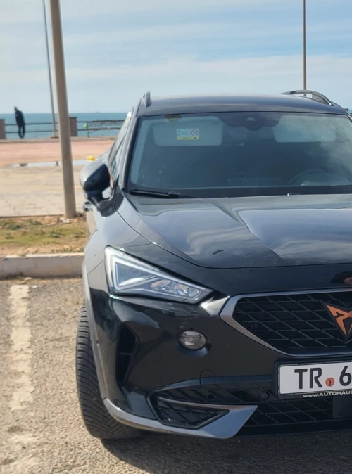 Cupra formentor 1.5 tsi 2022 