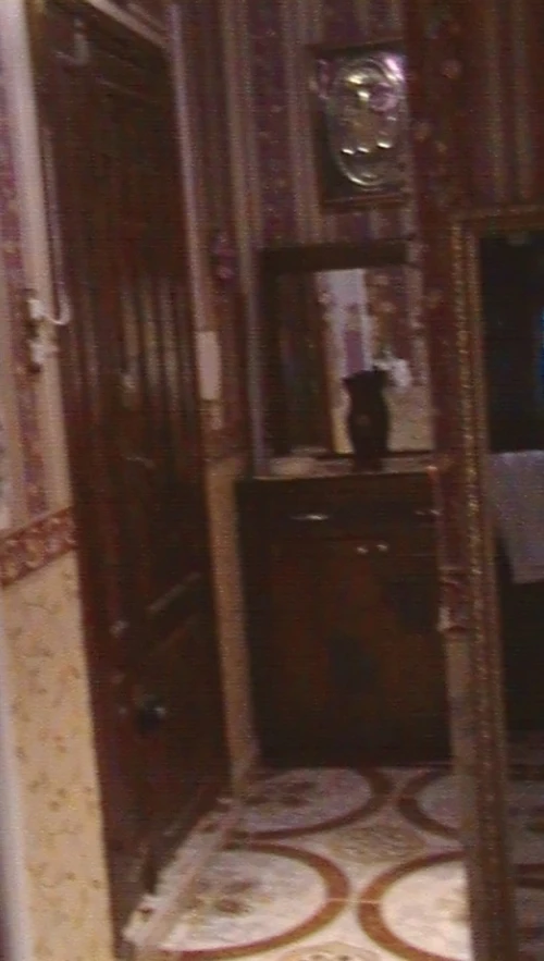 Location Appartement F4 Mostaganem Mostaganem