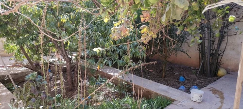 Vente Villa Oran Ain el bia