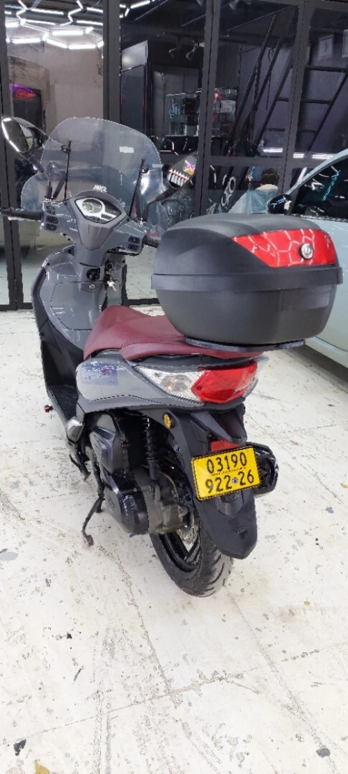 Sym St gris nardo 2022