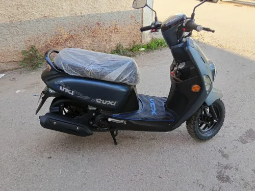 Vms cuxi Cuxi 2 2025