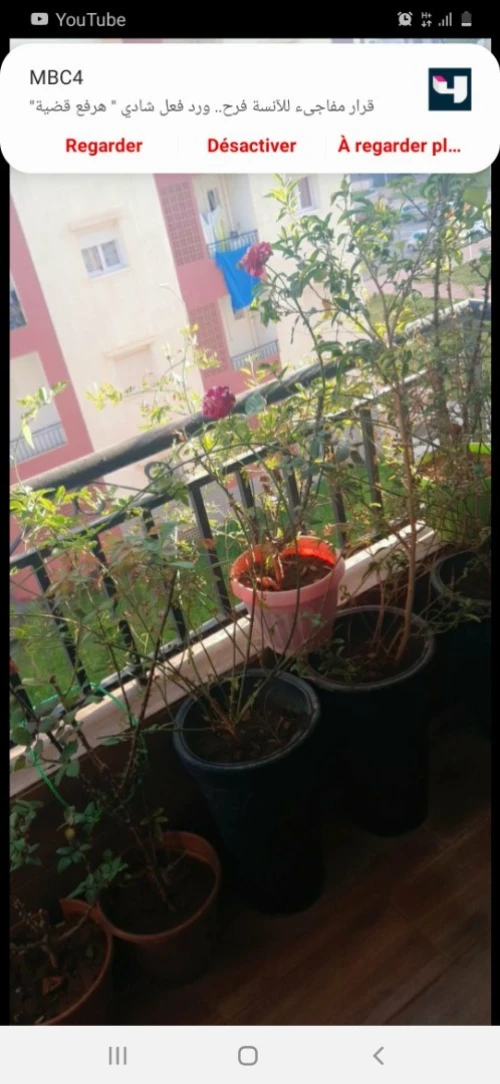 Vente Appartement F4 Blida Bouinan
