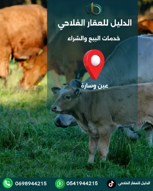Vente Terrain Agricole Djelfa Bouira lahdab