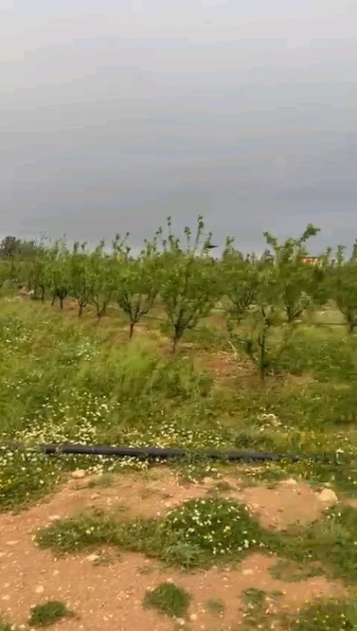 Vente Terrain Agricole Djelfa Ain oussara