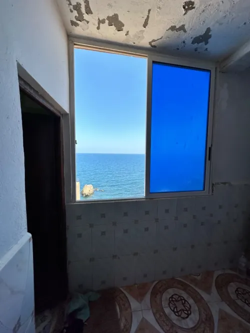 Vente Immeuble Tipaza Tipaza