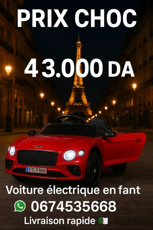 Voiture électrique pour enfants 