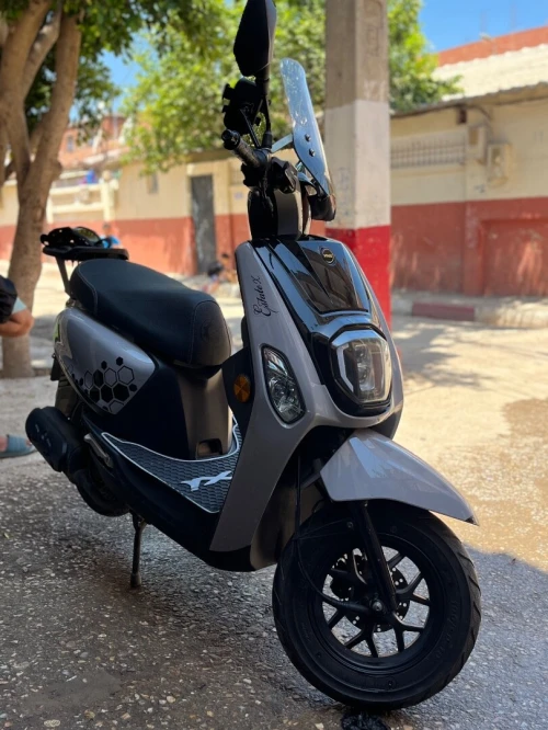 Vms Estate X 2024